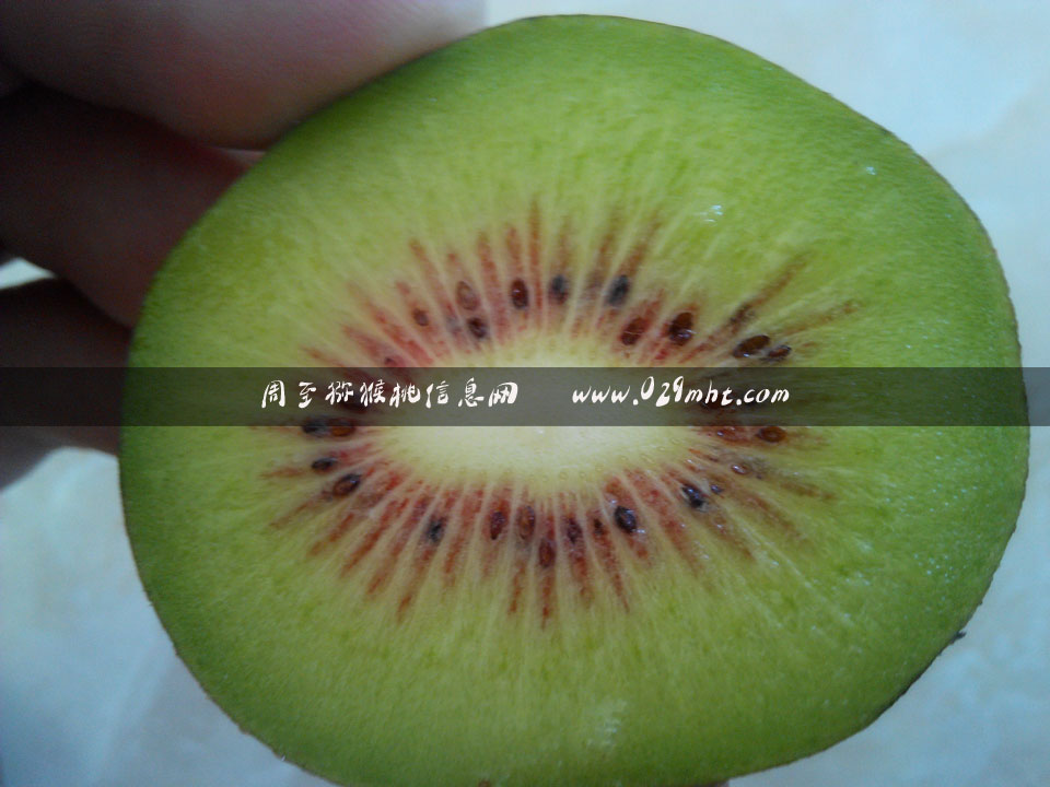 <a href=http://www.linux-china.com/mht/hongxin/ target=_blank class=infotextkey />红心豪门国际猕猴桃</a>价格