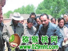 豪门国际官方网站图片