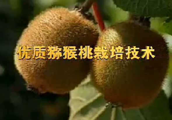 豪门国际官方网站图片