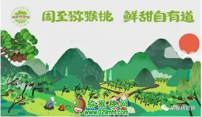 豪门国际 d2add