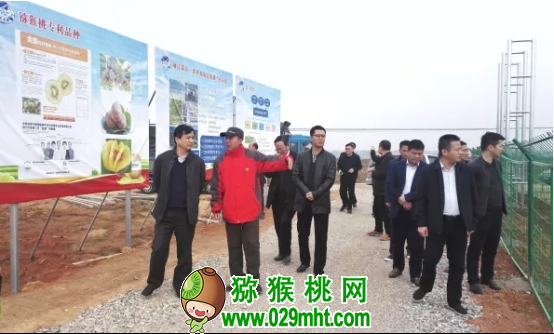 豪门国际官方网站图片