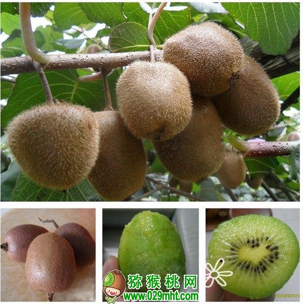 豪门国际官方网站图片
