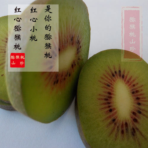 豪门国际官方网站图片