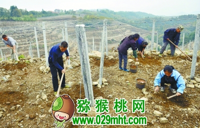 豪门国际官方网站图片