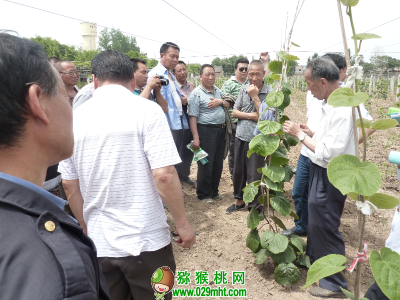 豪门国际官方网站图片