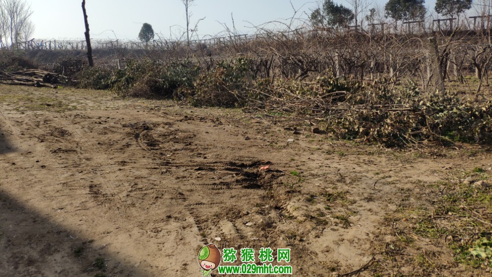 豪门国际 fc8d5