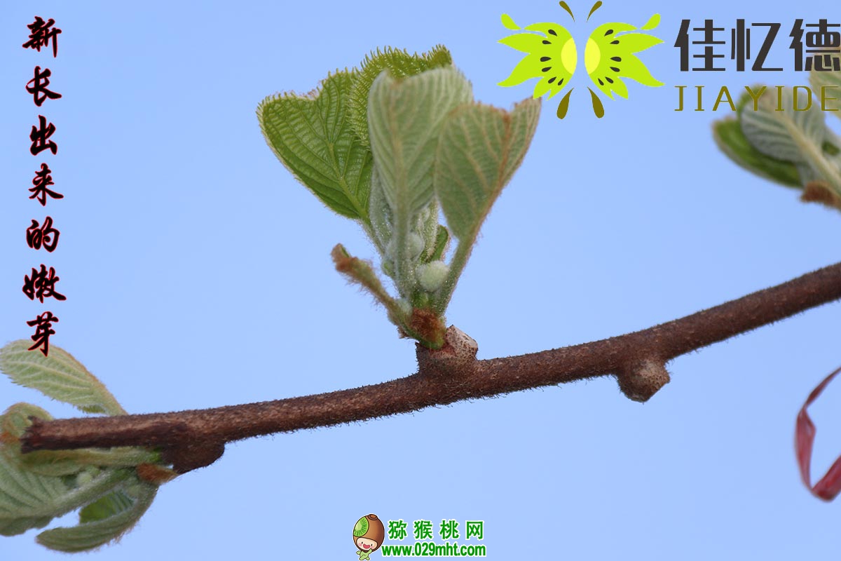 豪门国际 5f3ca