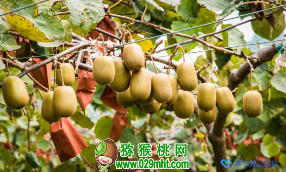 豪门国际官方网站图片