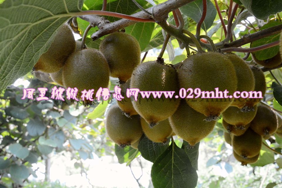 豪门国际官方网站图片