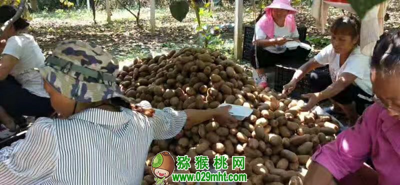 豪门国际 9923b