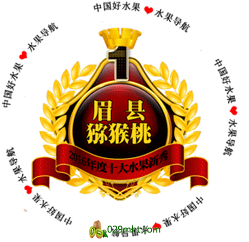 豪门国际官方网站图片