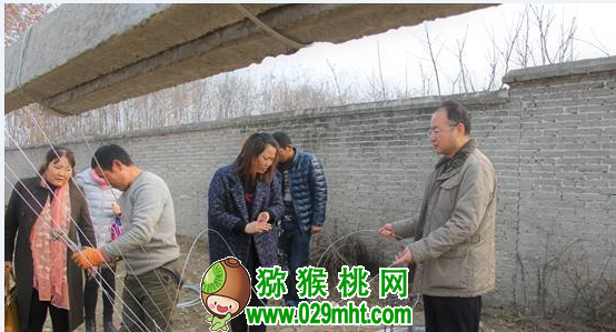 豪门国际官方网站图片