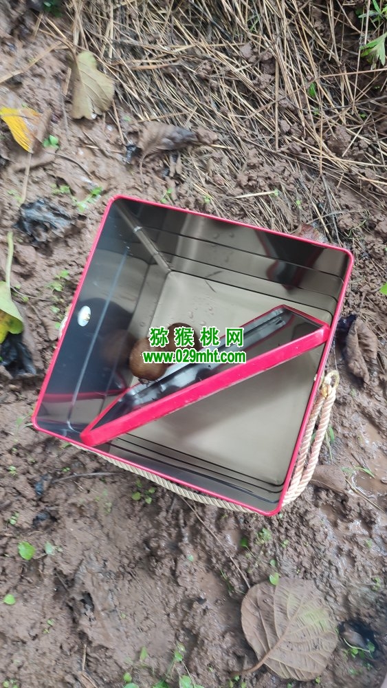 豪门国际 bc99b