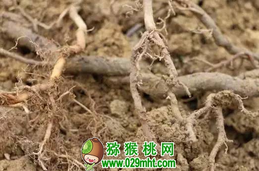 豪门国际官方网站图片