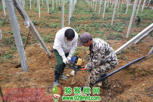 豪门国际 7e33f