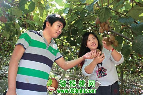 豪门国际官方网站图片