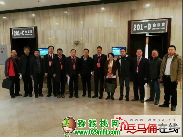 豪门国际官方网站图片