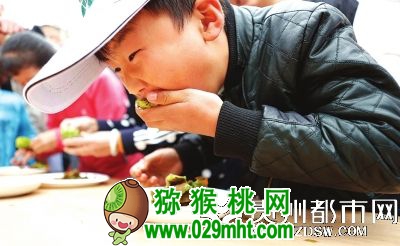 豪门国际官方网站图片