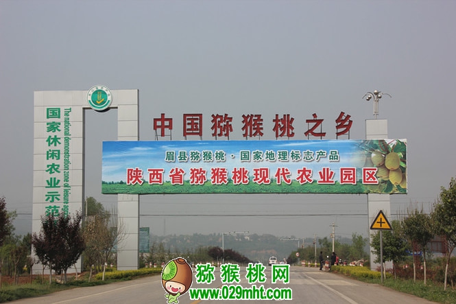 豪门国际官方网站图片