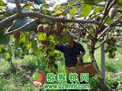 豪门国际官方网站图片