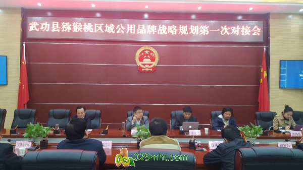 豪门国际官方网站图片