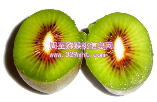红阳豪门国际猕猴桃