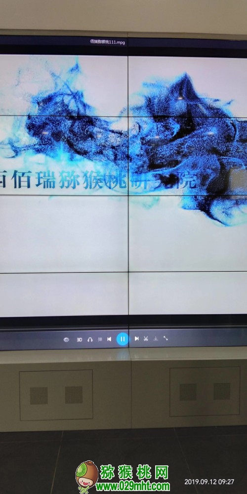 豪门国际 d914b