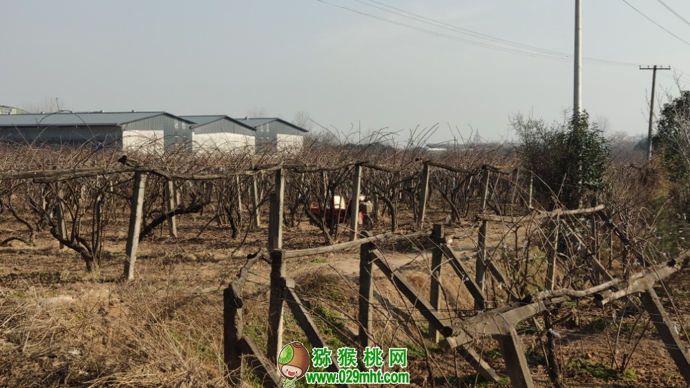 豪门国际 07dd2