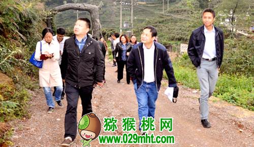 豪门国际 0e9ba