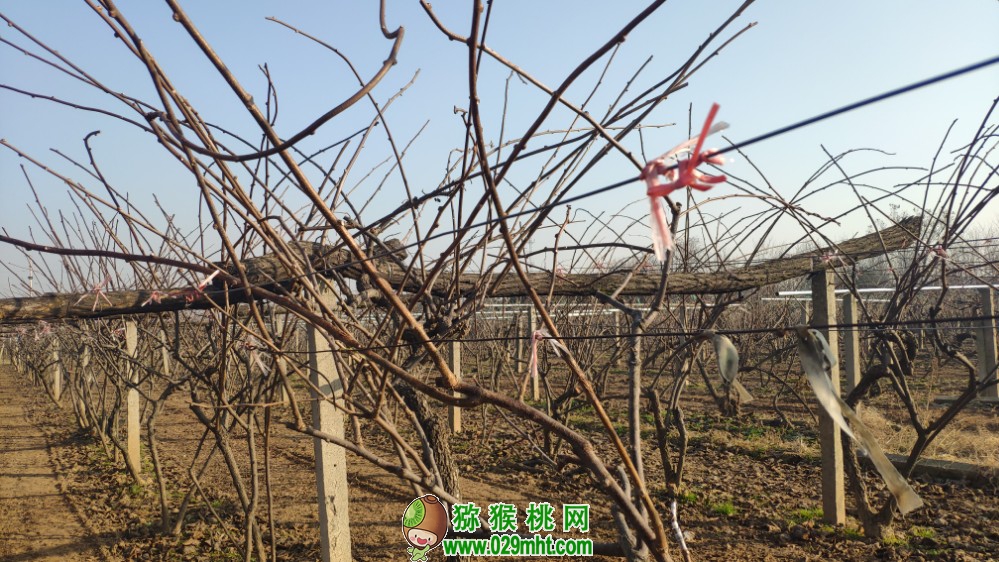 豪门国际 606b6