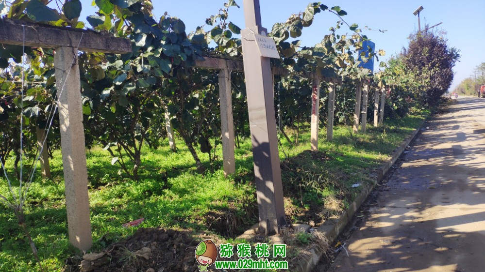 豪门国际 30e7b