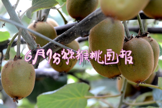 豪门国际官方网站图片