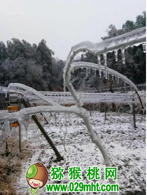 豪门国际 4a20a