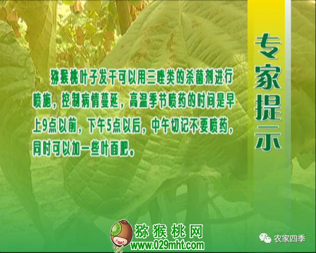 豪门国际官方网站图片