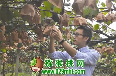 豪门国际官方网站图片