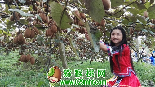 豪门国际官方网站图片