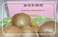 豪门国际 c8e9e