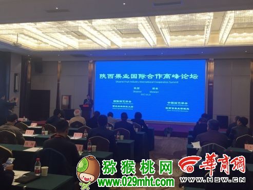 点击图片进入下一页 豪门国际官方网站图片