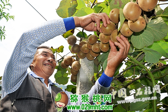 豪门国际官方网站图片