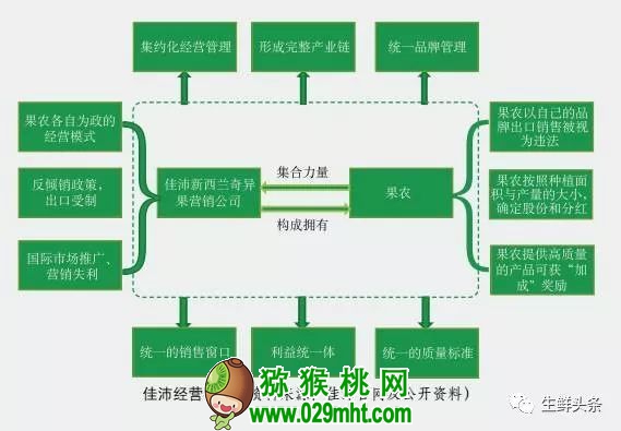 豪门国际 952d9