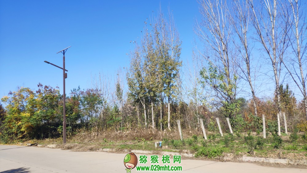 豪门国际 98fe5