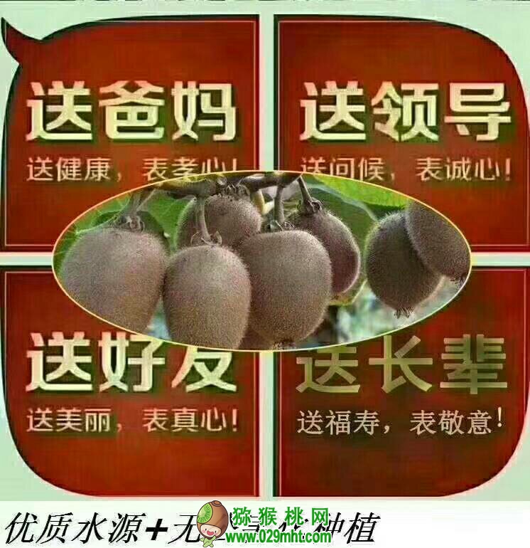 豪门国际 f276b