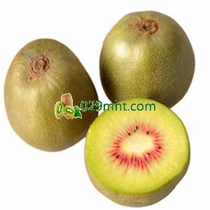 <a href=http://www.linux-china.com/mht/hongxin/ target=_blank class=infotextkey />红心豪门国际猕猴桃</a>主要产区