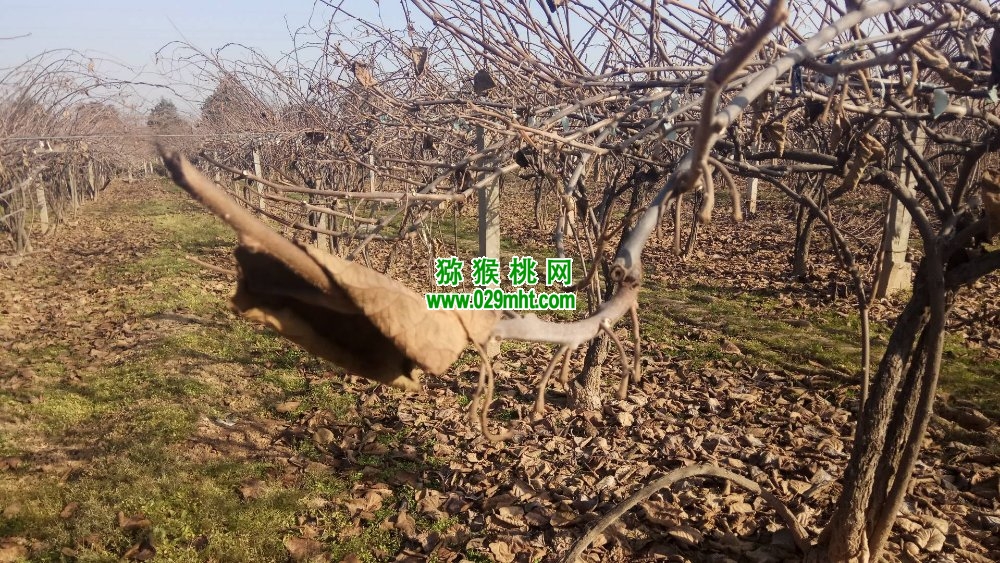 豪门国际官方网站图片