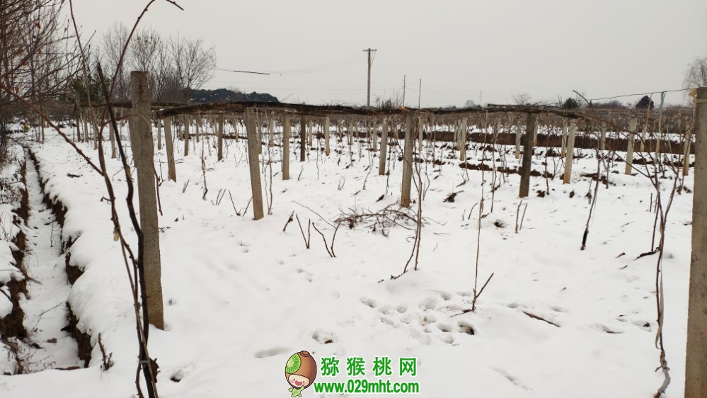 豪门国际 3aea7