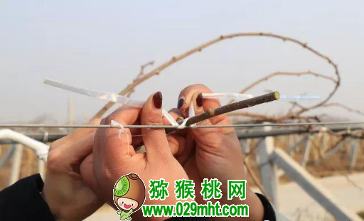 豪门国际官方网站图片