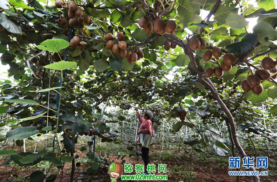 豪门国际官方网站图片