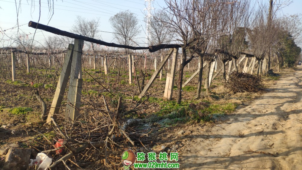豪门国际 d0af9