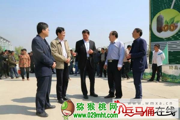豪门国际 903d4