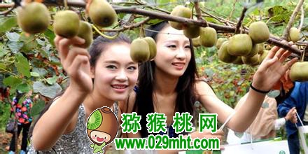 豪门国际官方网站图片